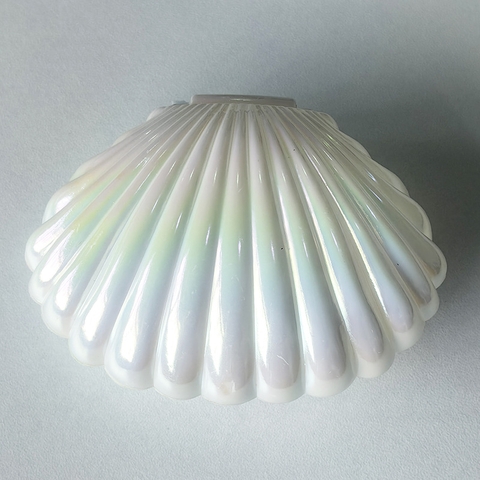 Vỏ sò nhựa trắng 10.5*7.5*4cm