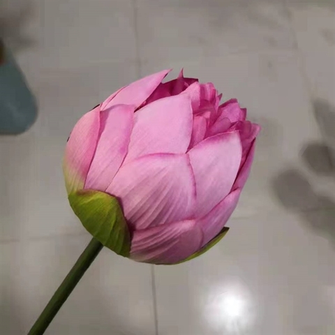 H51 Hoa sen màu hồng size to