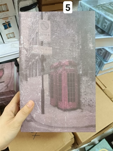 Sách mô hình hiện đại (tiểu thuyết)