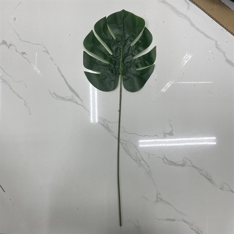 Lá khoai đại (KT: 59 x 21) nhạt