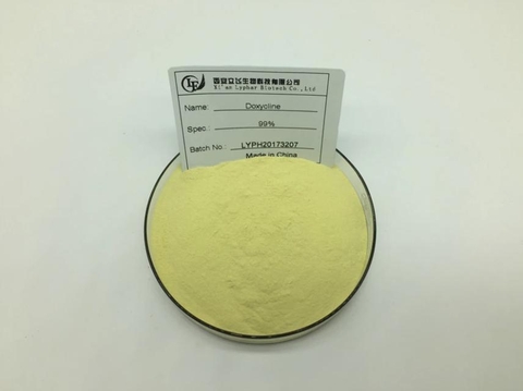 DOXYCYCLINE HCL NGUYÊN LIỆU – KHÁNG SINH PHỔ RỘNG CHUYÊN DÙNG TRONG THÚ Y & THỦY SẢN