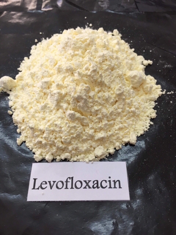 LEVOFLOXACIN HCL – KHÁNG SINH PHỔ RỘNG DÙNG TRONG THÚ Y & THỦY SẢN