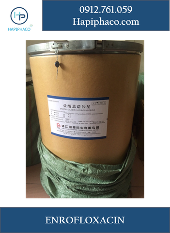 Nguyên liệu kháng sinh ENROFLOXACIN HCL Trung Quốc
