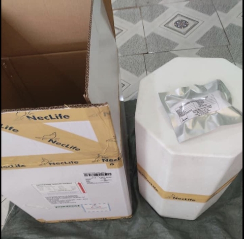 Cefotaxime Sodium 98% (Neclife Ấn Độ) – Kháng Sinh Thú Y - Thủy Sản