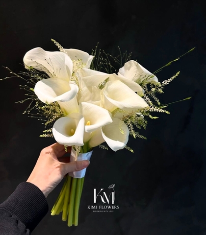 Born to Love You  HTP0193