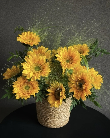 Golden Grace   HTP0354