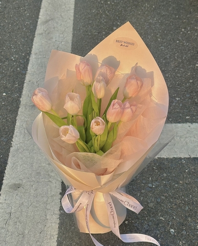 Tulip Yêu    HTP0438