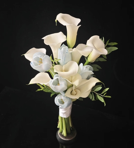 Calla Tulip   HTP0206