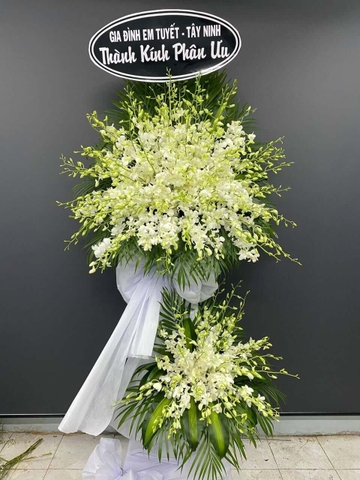 Thành Kính     HTP0372