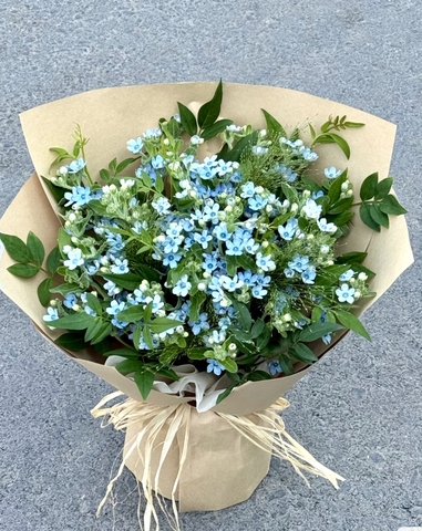 Sao Xanh Yêu Thương  HTP0360