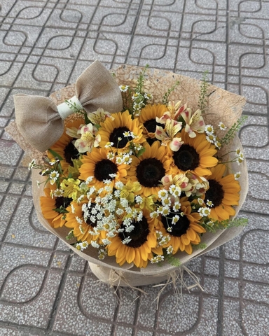 Tỏa Sáng Ước Mơ HTP0432