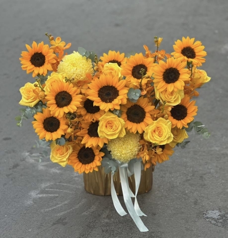 Ánh Sáng May Mắn   HTP0417