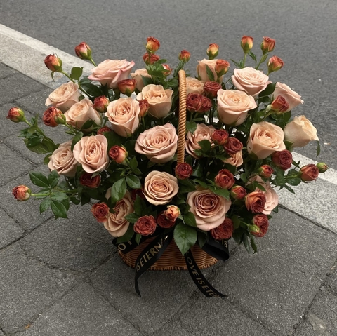 Moonlight in the Forest   HTP0327