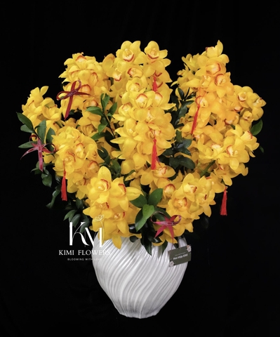 金色起航    HTP0422