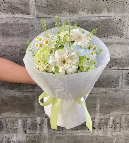 Cẩm Tú Cầu Bae  HTP0436