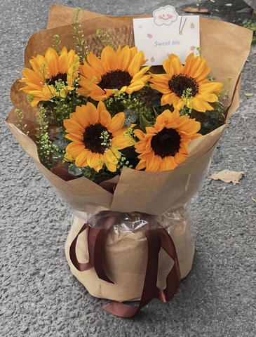 Ánh Sáng Tri Thức HTP0428