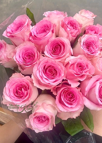 Hoa Hồng Lạc Thần - Angle’s Heart Rose