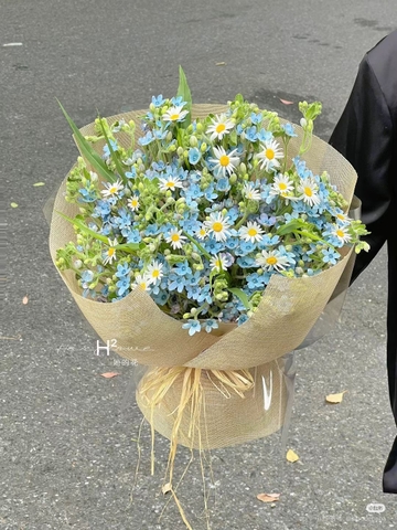 Lam Tinh Yêu Đời  HTP0004