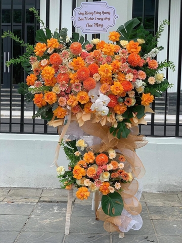 Vinh Hoa Khởi Sắc    HTP0412