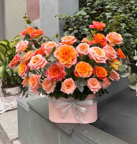 Cát Hoa Tụ Tài  HTP0289