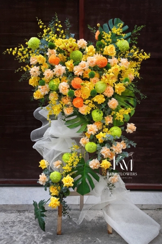 Ánh Ngọc Thanh Tinh    HTP0409