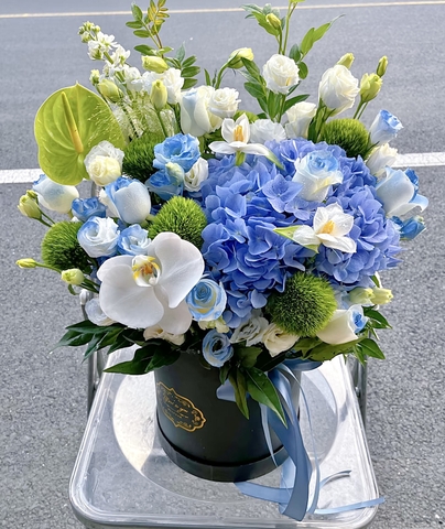 Vươn Xa Hơn    HTP0260