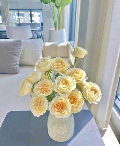 Hoa Hồng Victor Vàng - Victor Yellow Rose