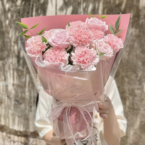 Cẩm Chướng Baby    HTP0313