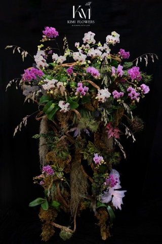 Lan Hồ Điệp Đại Cát Đại Lợi   HTP0271