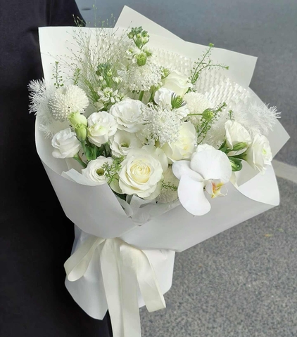 Nàng Tinh Khôi   HTP0286