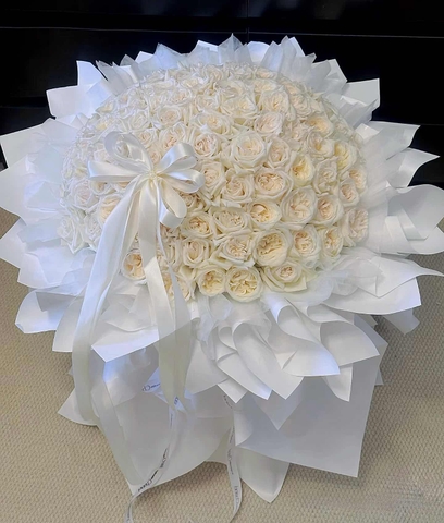 White Ohara Lover  HTP0285