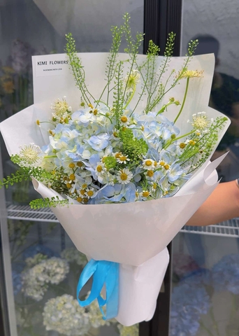 Cẩm Tú Cầu Mơ   HTP0284