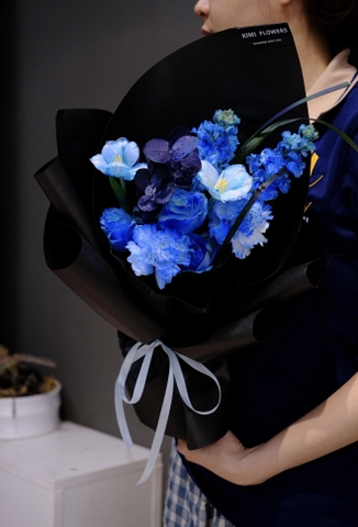 Baby Blue    HTP0476