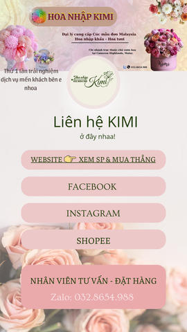 Hoa Hồng Đỏ Cô Dâu - Bride Red Rose