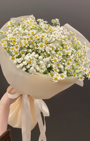 Bó Hoa Baby mix Cúc Tana  HTP0143