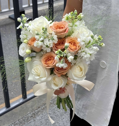 微光心愿   HTP0180