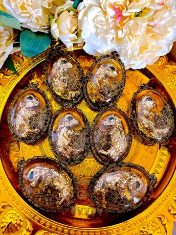 Nhau mèo