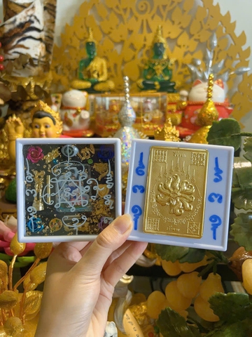 Hộp hồ ly sáp cứng - trưng bày