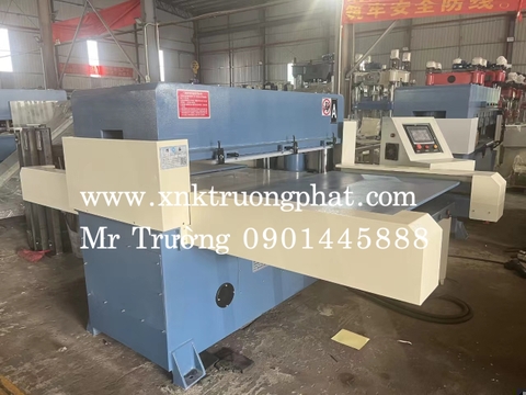 Máy dập khay nhựa thủy lực 60T 2 bàn làm việc Trường Phát
