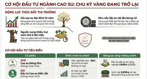 Cập nhật cơ hội đầu tư ngành CAO SU