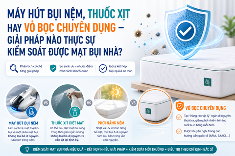 Máy Hút Bụi Nệm, Thuốc Xịt Hay Vỏ Bọc Chuyên Dụng  -  Giải Pháp Nào Thực Sự Kiểm Soát Được Mạt Bụi Nhà?