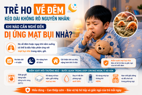 Trẻ Ho Về Đêm Kéo Dài Không Rõ Nguyên Nhân: Khi Nào Cần Nghĩ Đến Dị Ứng Mạt Bụi Nhà?