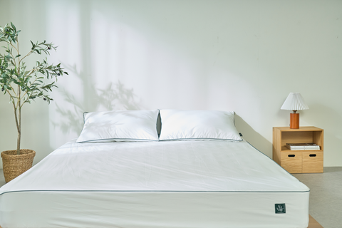 [RUVAIR] Vỏ bọc nệm ngăn ngừa dị ứng, hen suyễn và viêm da cơ địa do mạt bụi nhà  Physical Barrier - Mattress Cover (King)