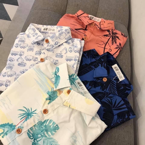 Áo sơ mi H&M họa tiết 3 mẫu khủng long, cây dừa và oto