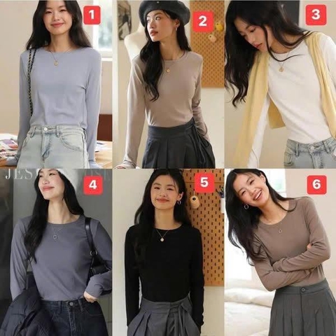 Áo nỉ nhung giữ nhiệt cổ tròn 6 màu cho nữ