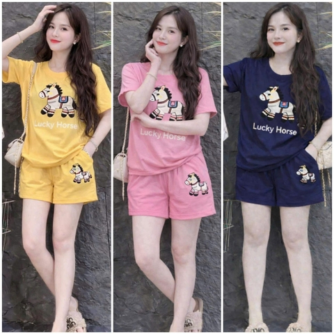 Bộ cộc tay SIZE MẸ MBCKIDS con ngựa Lucky Horse 3 màu vàng, hồng, navy