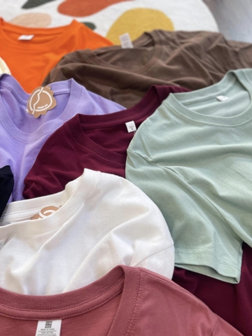 Áo phông trơn cổ tròn 12 màu