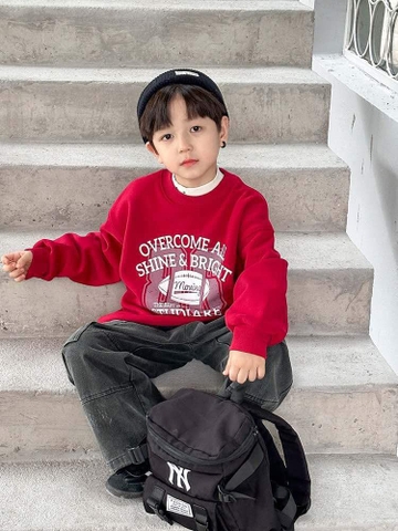 Áo nỉ dài tay có lót AMBB 6 màu cho bé