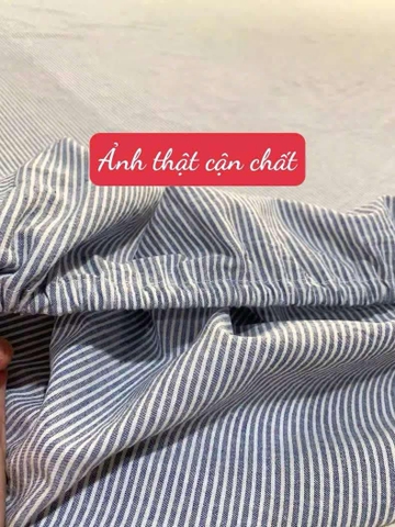 Set ga gối 1 ga + 2 vỏ gối 15 mẫu chất đũi