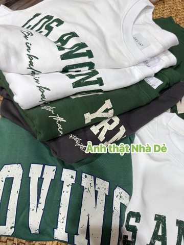 Áo nỉ da cá GEEJAY unisex 3 màu trắng, xanh lá, ghi nam, nữ